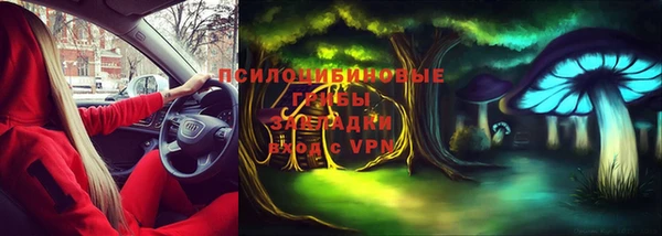 дурь Новодвинск