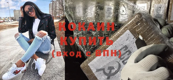 дмт Новозыбков