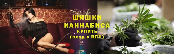 дурь Новодвинск