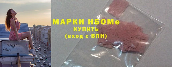 дмт Новозыбков