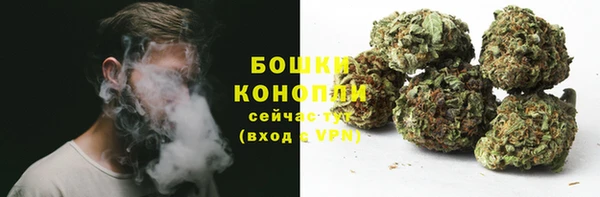 дурь Новодвинск