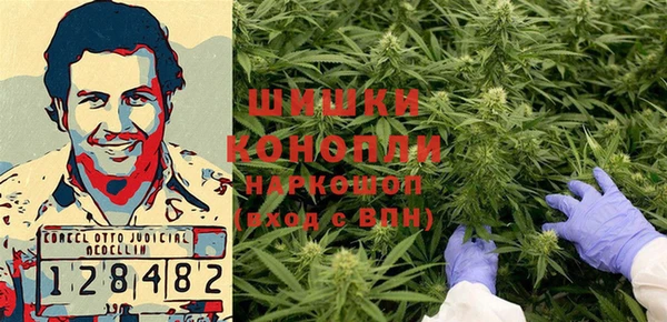 дмт Новозыбков