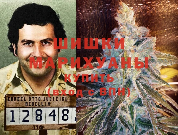 дмт Новозыбков