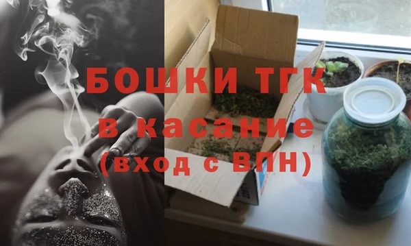 дмт Новозыбков