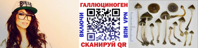 Псилоцибиновые грибы GOLDEN TEACHER  закладки  Баймак 